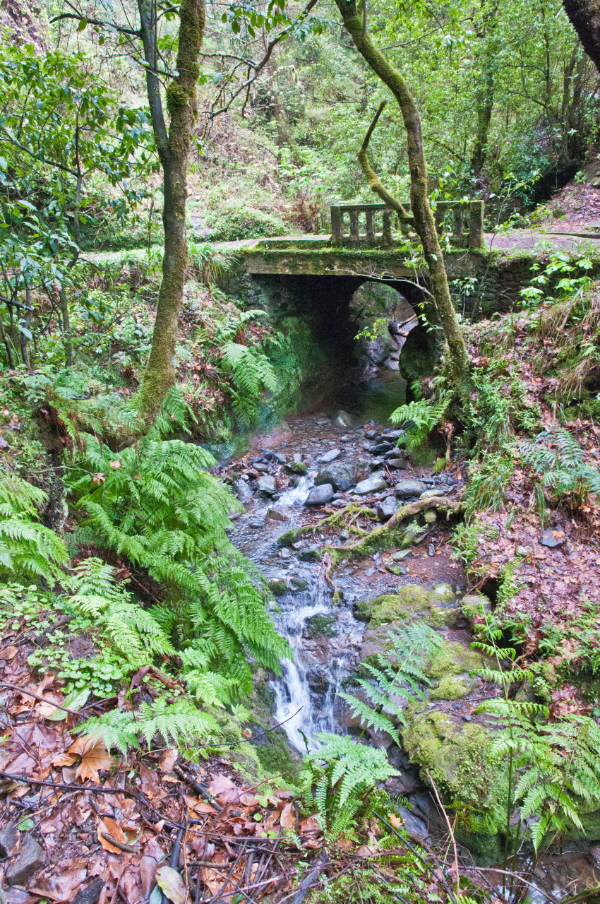 madeira1/DSC_5689.jpg
