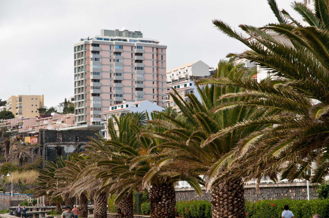 madeira1/DSC_5792.jpg