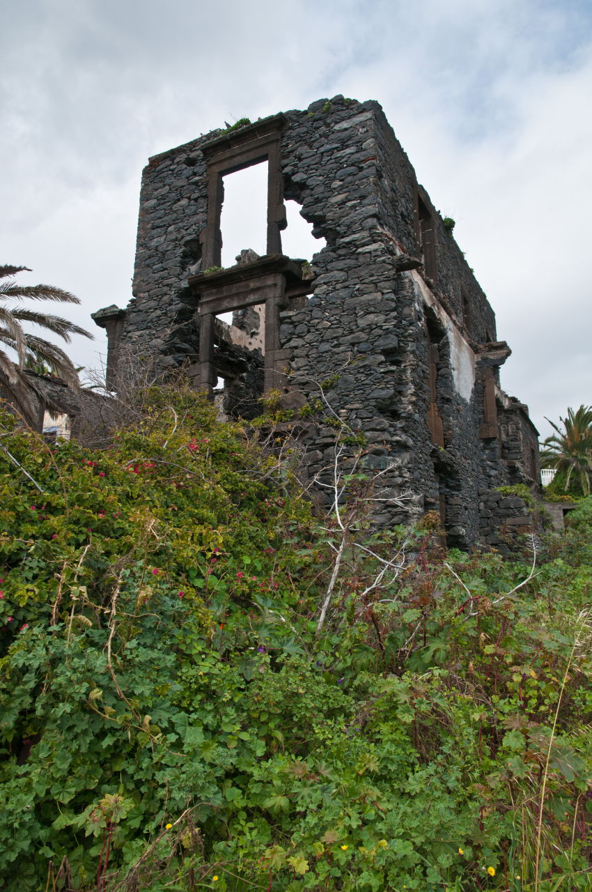 madeira1/DSC_5806.jpg
